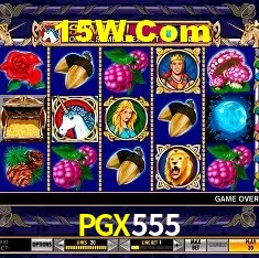Slot Games PGX555