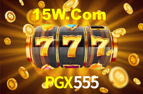 Premium Interface PGX555